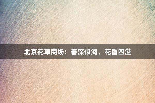 北京花草商场:春深似海,花香四溢