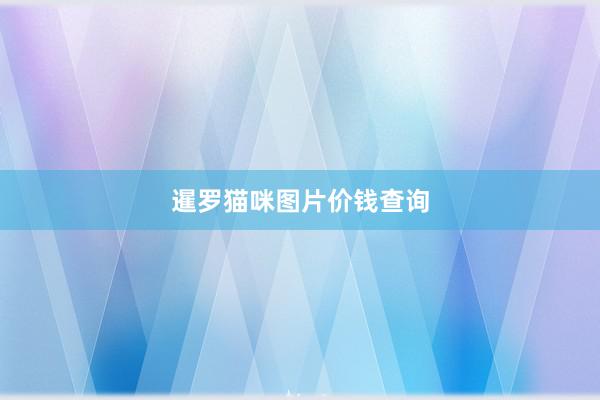 暹罗猫咪图片价钱查询